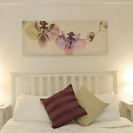 Alp Lavanta Акьяка