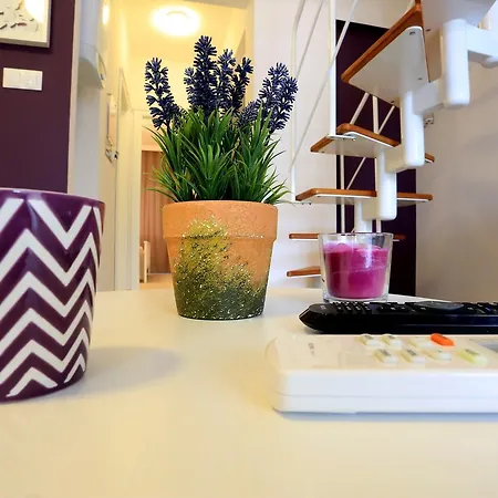 Alp Lavanta Акьяка