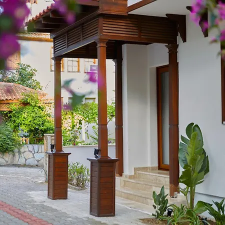 Alp Lavanta Акьяка