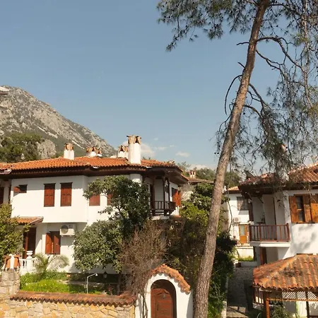 Daire Alp Lavanta