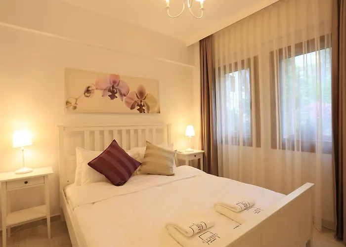 Alp Lavanta Akyaka (Mugla)