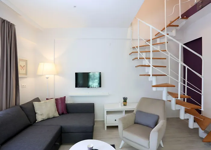 Alp Lavanta * 阿奇亚卡