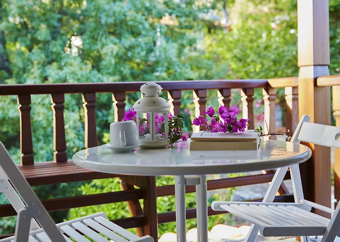 Alp Lavanta 阿奇亚卡