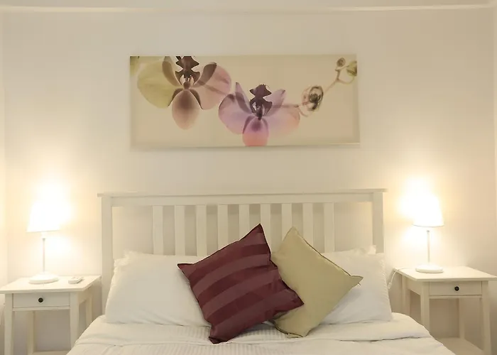 Alp Lavanta 阿奇亚卡