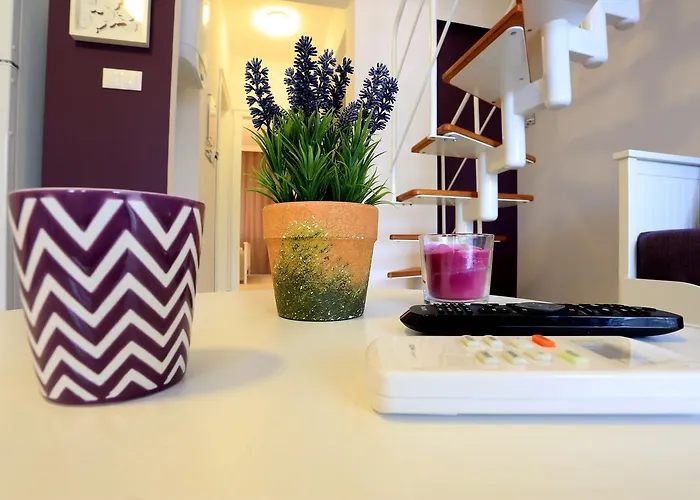 Alp Lavanta 阿奇亚卡