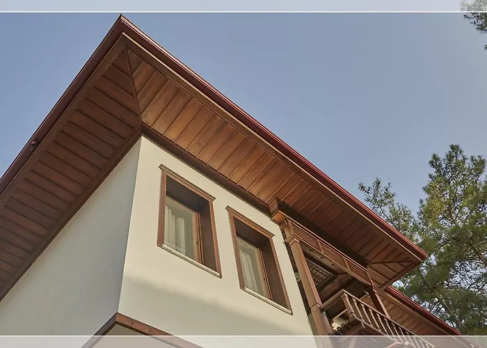 Alp Lavanta * 阿奇亚卡