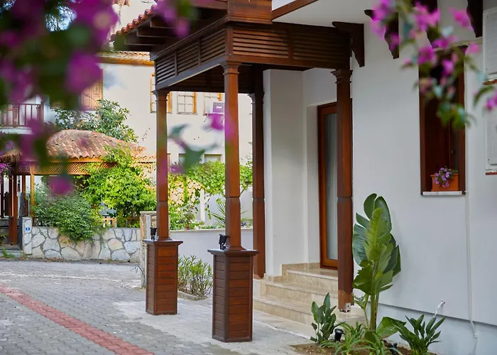 Alp Lavanta 阿奇亚卡